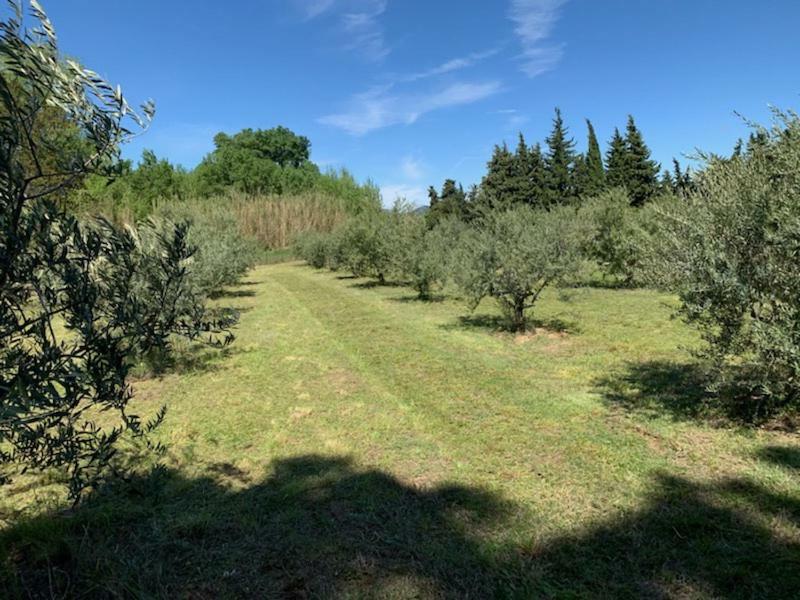 فيلا Le Mazet Des Joncs En Provence Saint-Pierre-de-Vassols المظهر الخارجي الصورة